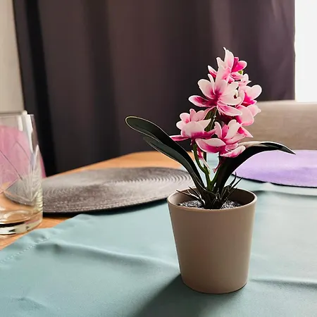 Апартаменты Boutique