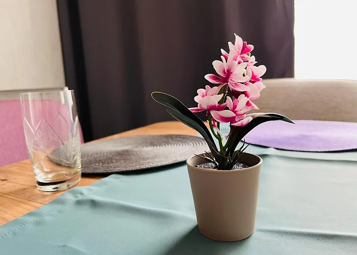 Apartamento Boutique